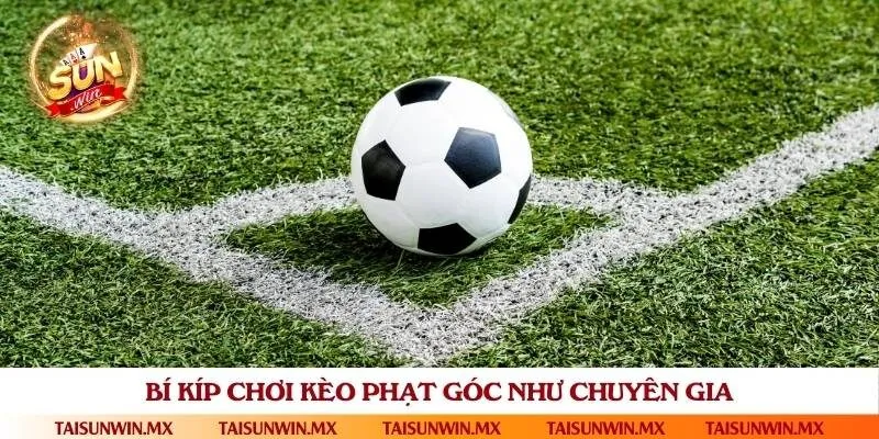 Hướng dẫn đặt cược chuẩn xác, dễ thắng lớn
