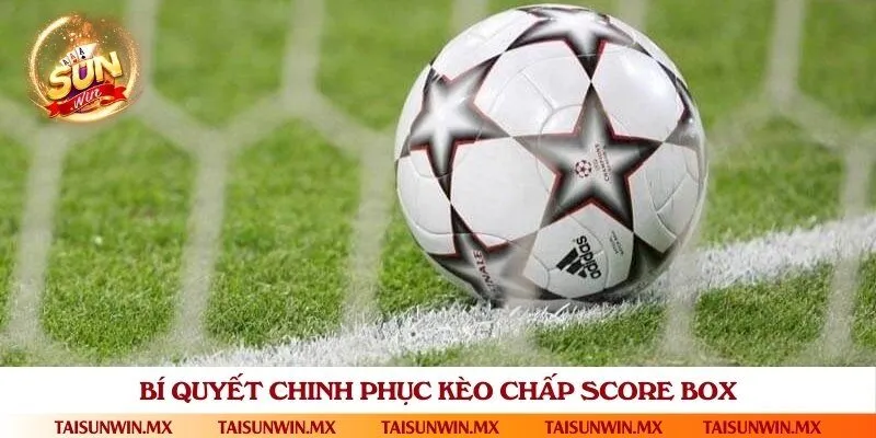 Áp dụng ngay các mẹo cược chấp score box dễ trúng