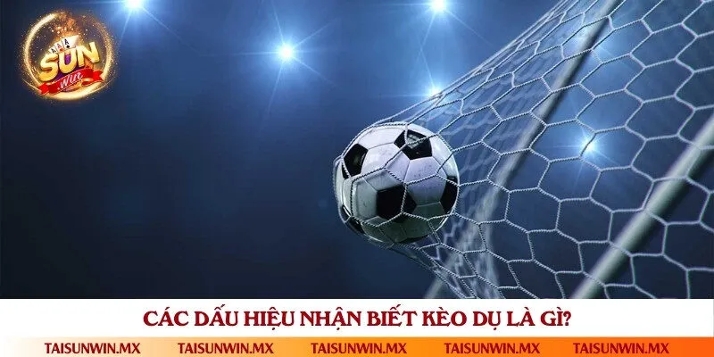 Cách nhận biết kèo dụ khá đơn giản nhất