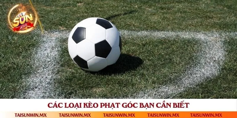 Top 3 loại kèo đá phạt góc được yêu thích nhất