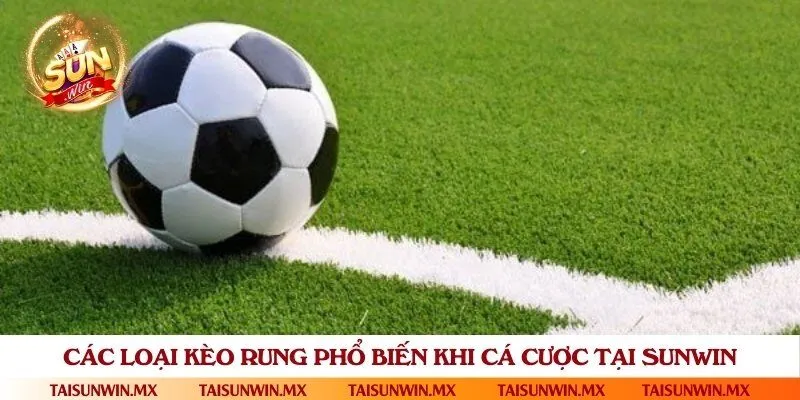 Tổng hợp kèo rung thường gặp trong cá cược bóng đá