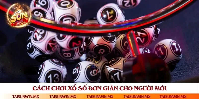 Hướng dẫn đặt cược từ đơn giản đến nâng cao