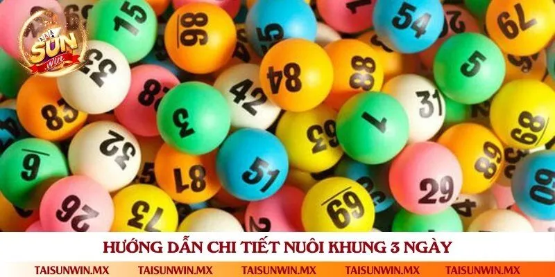 Tất tần tật về cách nuôi khung 3 ngày thành công
