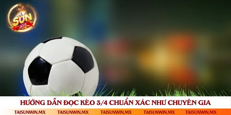 Hướng dẫn cách đọc tỷ lệ kèo 3/4 chính xác