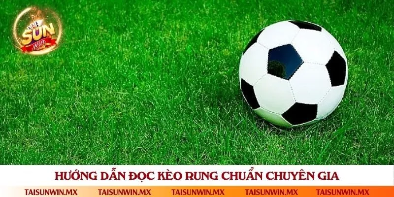 Đọc kèo rung dựa theo bảng tỷ lệ kèo