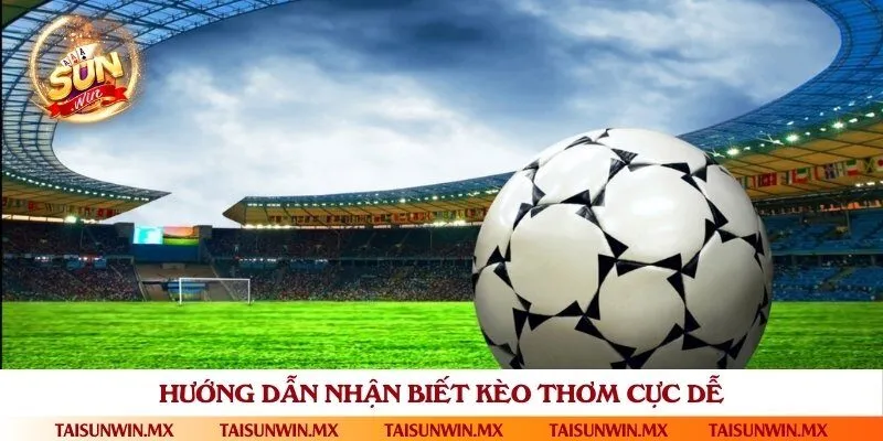 3+ cách nhận biết kèo bóng thơm tăng tỷ lệ thắng