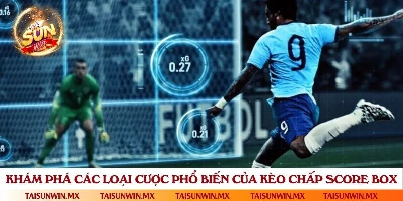 Những loại cược cơ bản trong kèo chấp score box cần nắm vững