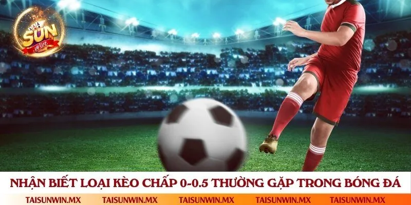 Những loại kèo 0/0.5 phổ biến dễ chơi, tỷ lệ thắng cao