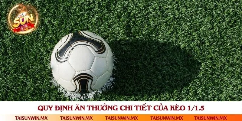 Hướng dẫn từng bước đọc kèo chấp 1.25 chuẩn xác nhất