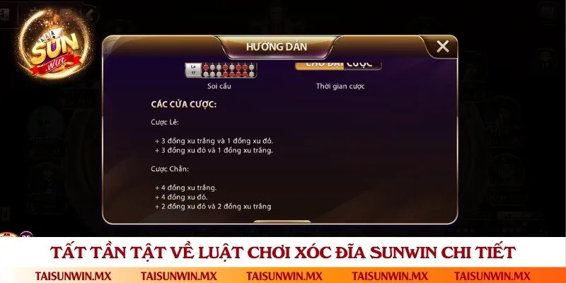 Tổng quan cho người mới về luật chơi và cách đặt cược